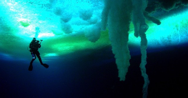 Incontri ai confini del mondo