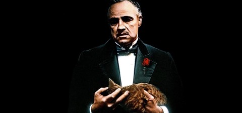20 Best Book to Film Adaptations of All Time (and Where to Watch Them)